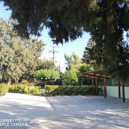 Green Apartments Faliraki Exterior photo