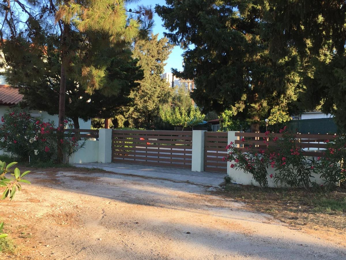 Green Apartments Faliraki Exterior photo